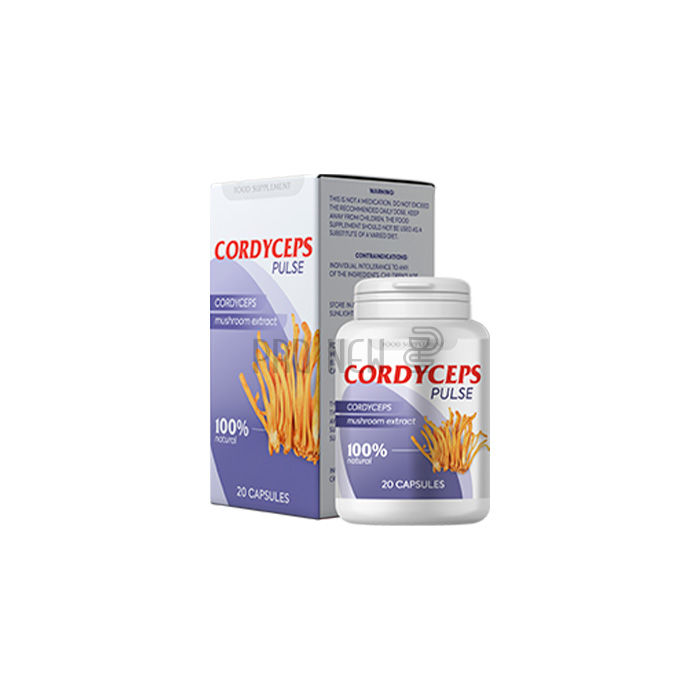 Cordyceps Pulse 
